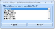 MS Word Import Multiple Access Files Software screenshot